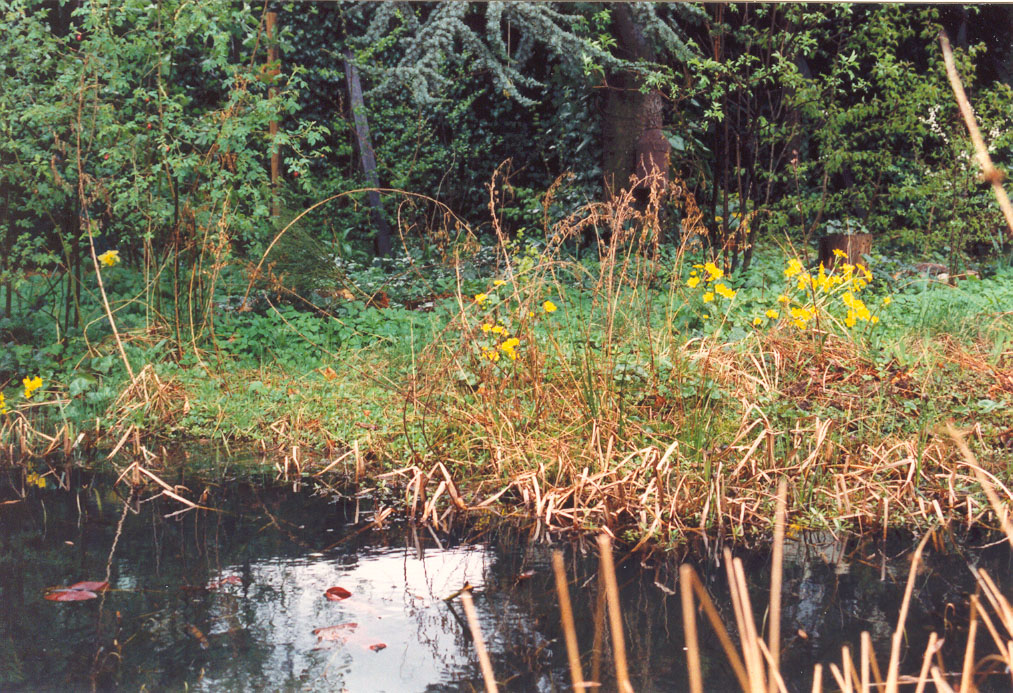 Gartenteich 1996